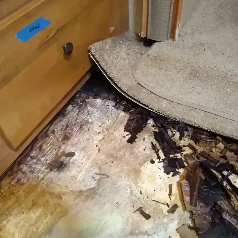 Wood Floor Water Damage in Waldorf, MD